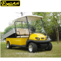 Cheap 2 seats golf buggy electric golf car